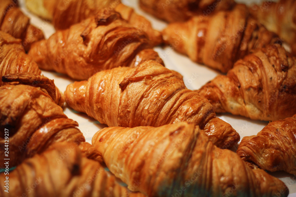Assortment of delicious and chocolate croissants made by pastry chef. All look very tasty and delightful. Natural light. Assortment of delicious and chocolate croissants made by pastry chef. All look very tasty and delightful. Natural light.