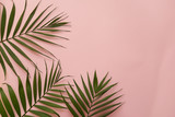 green palm leaves on a pink background 