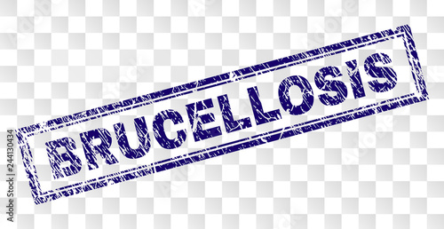 BRUCELLOSIS stamp seal print with rubber print style and double framed rectangle shape. Stamp is placed on a transparent background. Blue vector rubber print of BRUCELLOSIS tag with scratched texture.