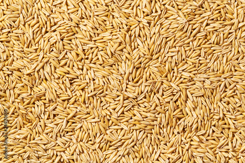 organic grain texture of oats macro shot