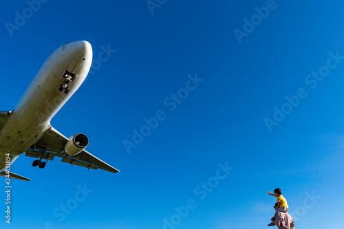 Fototapeta sky plane good bye
