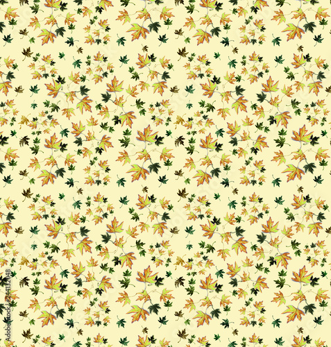 nature leaves pattern