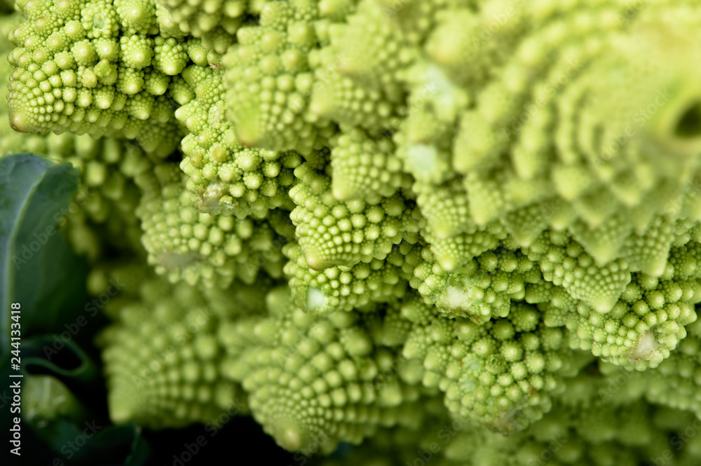 close up of fresh broccoli close up of fresh broccoli
