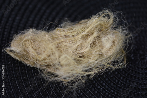  Plumbing Hempisolated over black  background,Raw flax fiber