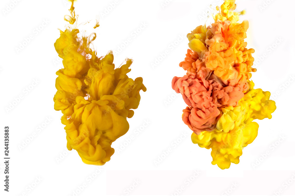 Two Abstract Colorful Two Ink In Water On A White Background Two Abstract Colorful Two Ink In Water On A White Background