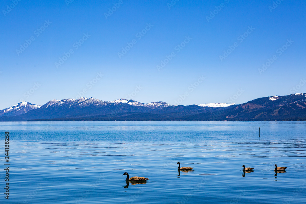 Lake Tahoe