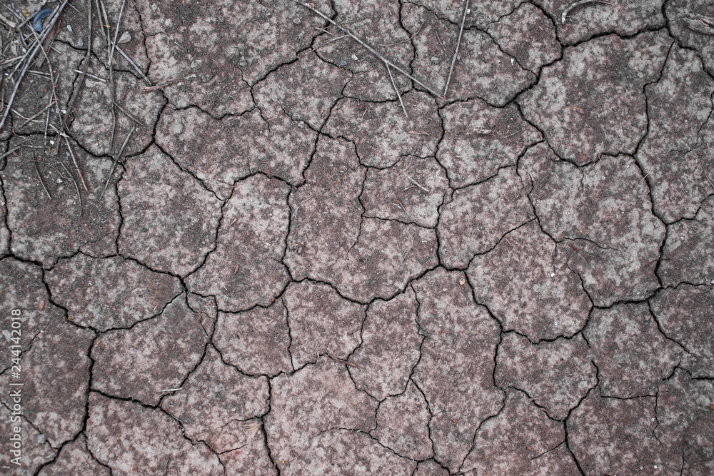 Dry land or dry soil. Cracked ground background. Dry land or dry soil. Cracked ground background.