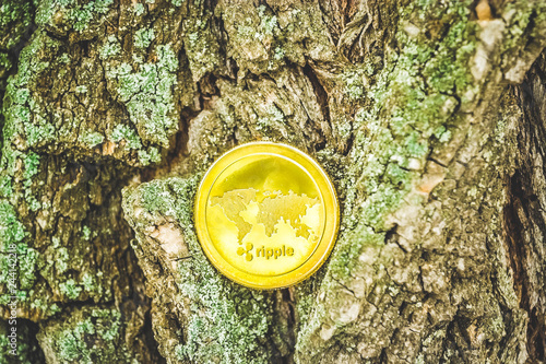 Golden coin of virutal currency laying on bark background