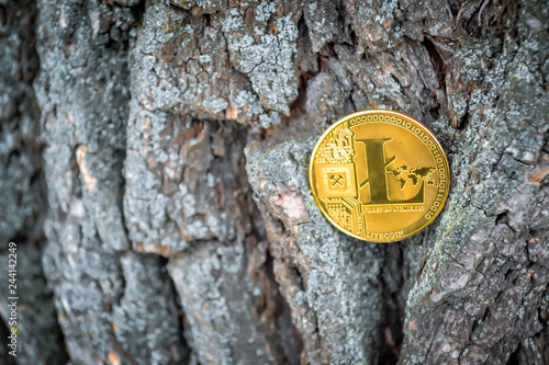 Golden coin of virutal currency laying on bark background