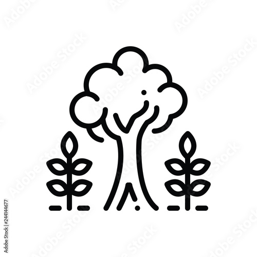 Black line icon for maturity 