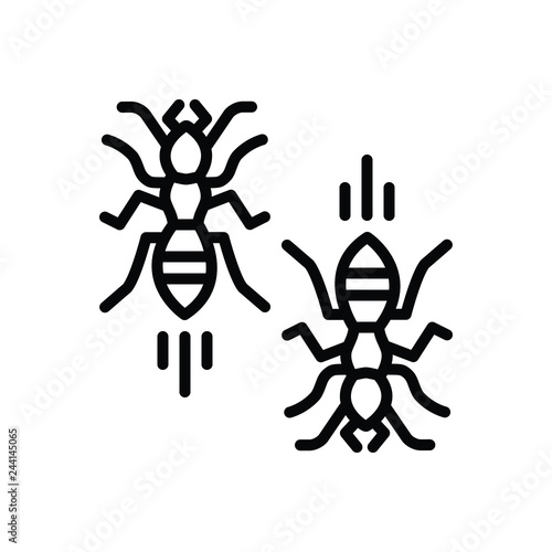 Black line icon for ants insect 