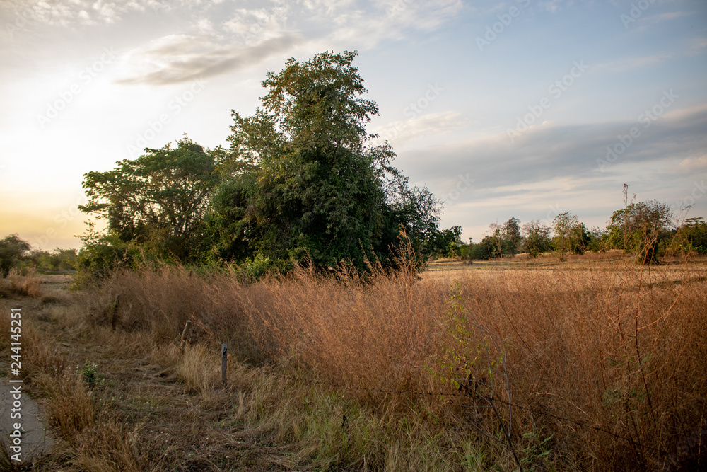 Obraz premium Natural scenery,road 