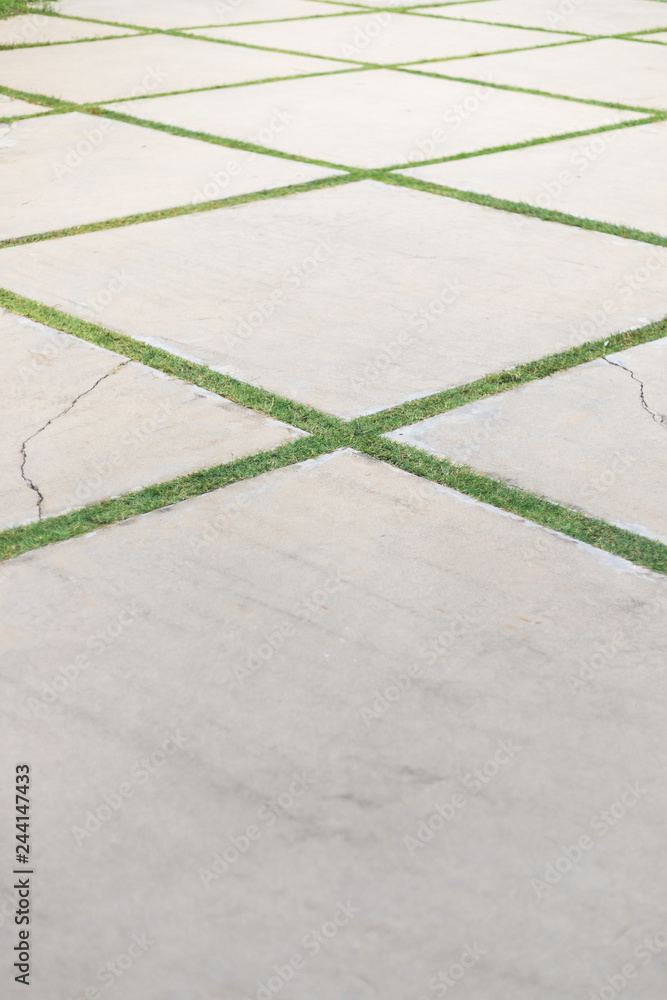Fototapeta premium cement floor with grass make square table on there in vertical