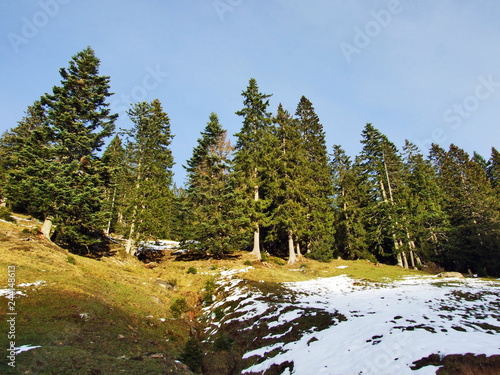 A late autumn atmosphere on pastures and farms in the valley of Seez river and on the Malun mountain plateau - Canton of St. Gallen, Switzerland photo