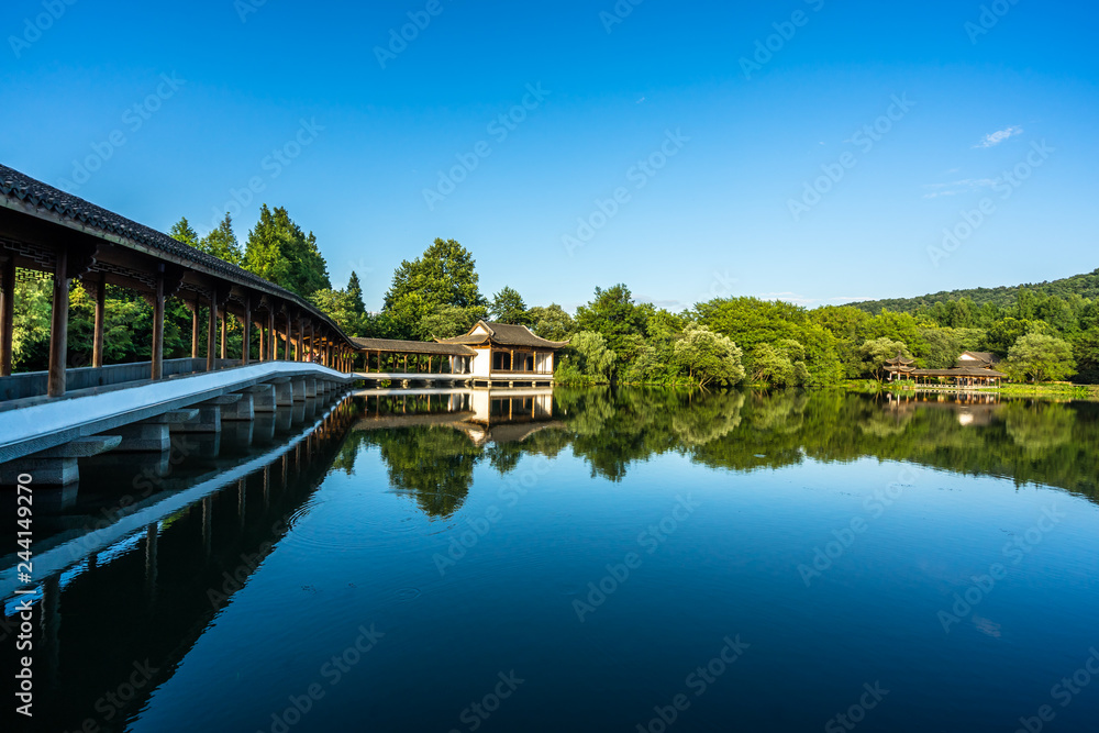 bridge over the river