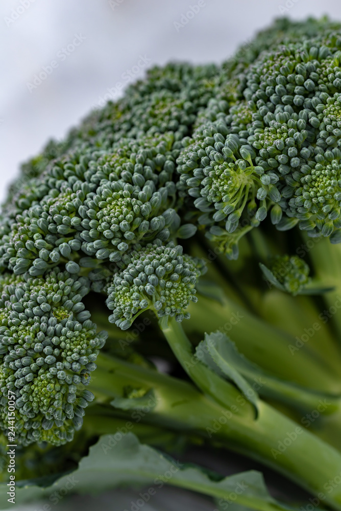 Closeup of broccoli Closeup of broccoli
