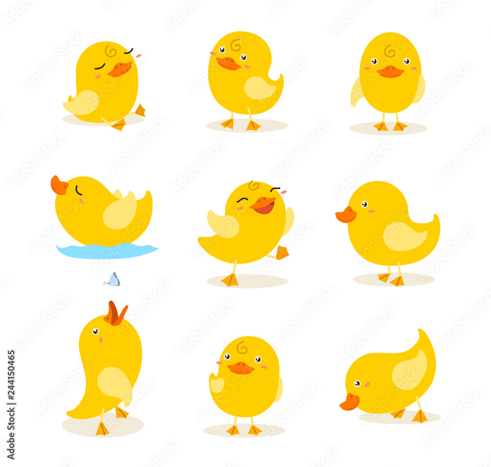 cute yellow duckling