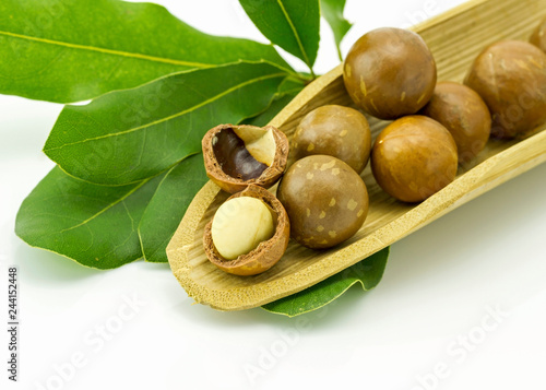 Group of macadamia in shell isolated on white background