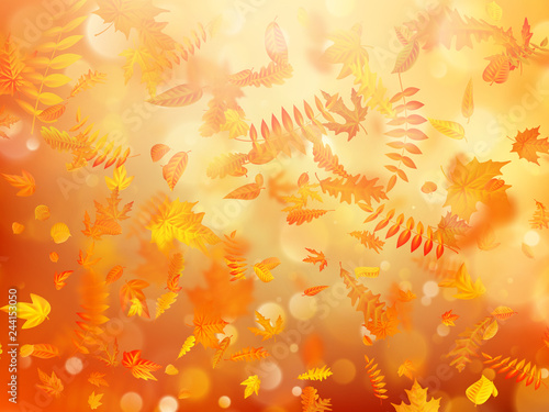 Autumn background with natural leaves and bright sunlight. EPS 10