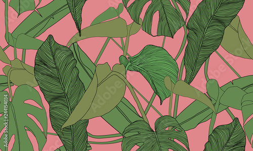 Vector tropical seamless pattern. Exotic green plants on pink background. Banana and monstera leaves. Hand drawn textile print.