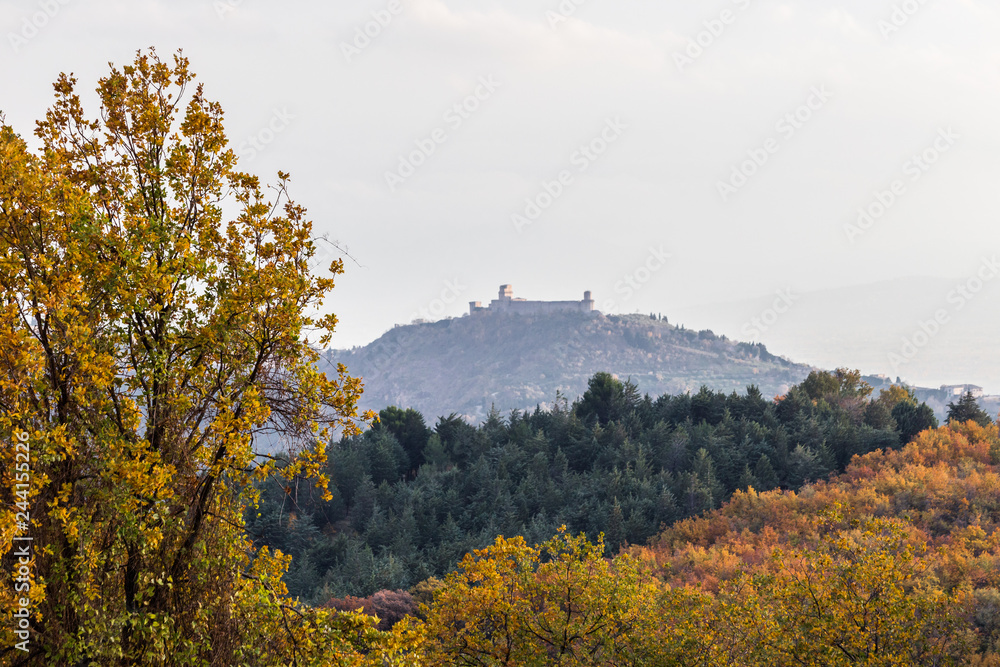Beautiful view of Assisi town (Umbria) and St.Francis church in autumn from an unusual place, behind an hill with orange and yellow trees