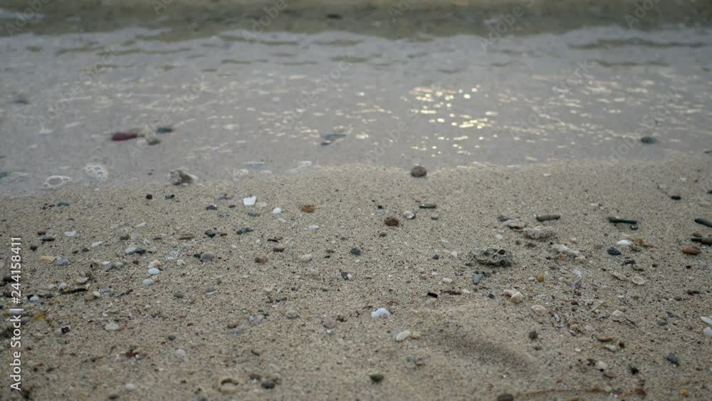 moving sea wave water at sandy beach with bubble, seashell and coral moving sea wave water at sandy beach with bubble, seashell and coral