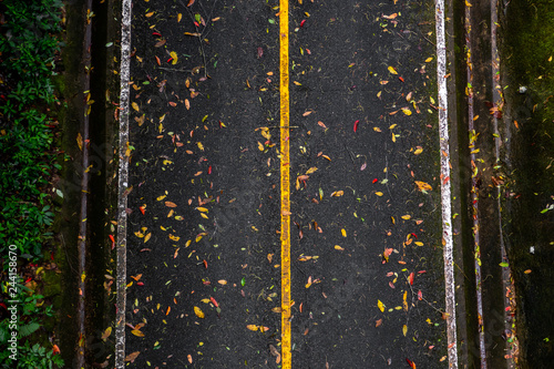 The top view of asphalt road with the yellow continue line after raining with the leaves on the ground in the park. 