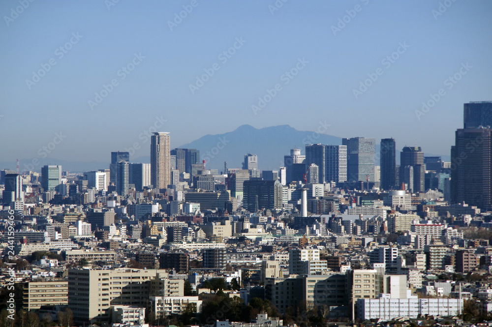 東京都心越しに見る筑波山