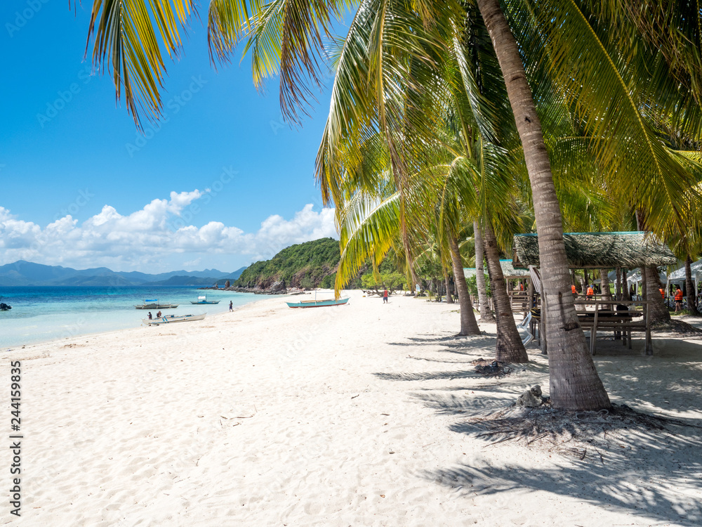 Obraz premium Perfect white sand beach in Philippines. Coconut Palm trees against blue sky, boat in ocean. Sunny weather. Travel Background. Nature landscape. Holiday on exotic island resort. November, 2018