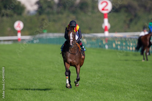 競馬#13