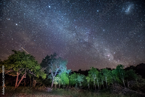 The Milkyway stretches across the sky over African bush at Umkhuze game reserve, part of Isimangaliso Wetland Park in South Africa photo