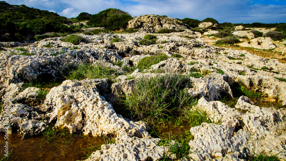 Nature of Cyprus