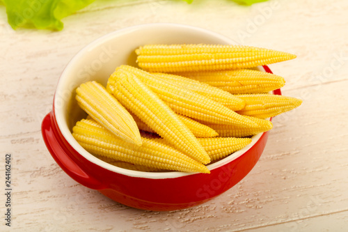 Young baby corn