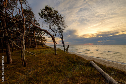 Lichtstimmung am Abend am Darßer Weststrand, Nationalpark Vorpommersche Boddenlandschaft, Mecklenburg Vorpommern, Deutschland photo