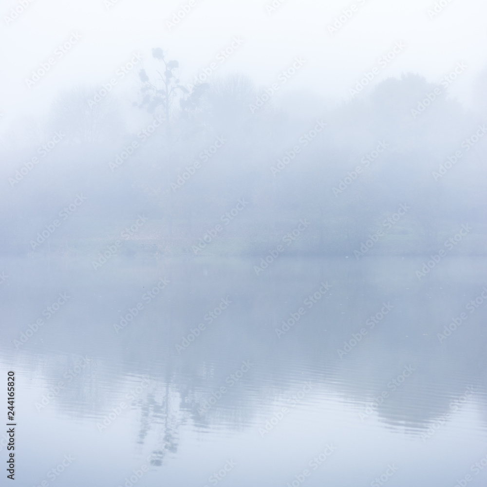 Brume Brume