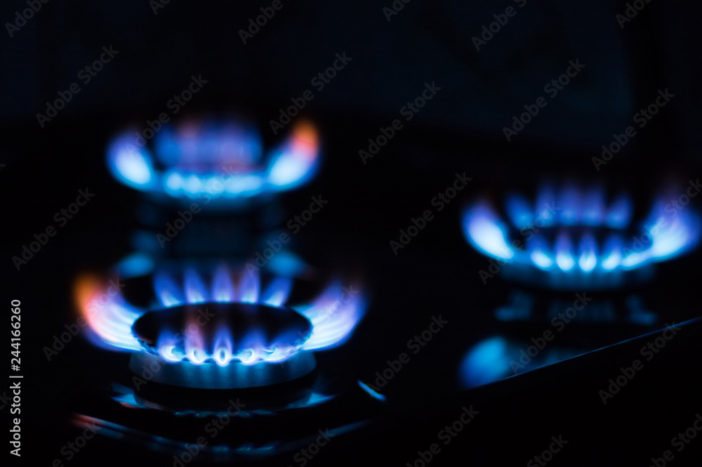 Flames from burning gas on the stove. Blue gas flame Flames from burning gas on the stove. Blue gas flame