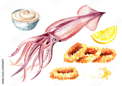 Fresh squid and fried squid rings with sauce and lemon set, seafood, Watercolor hand drawn illustration isolated on white background photo