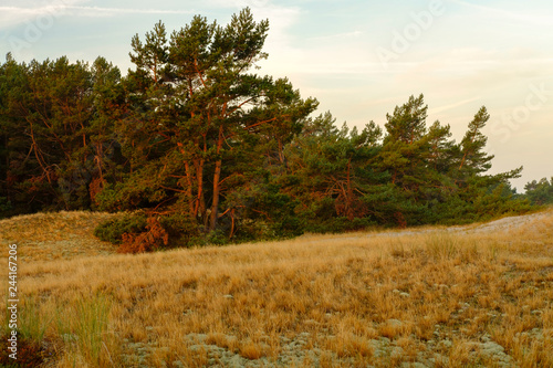 Sonnenaufgang am Darßer Ort an der Ostsee in der Kernzone des Nationalpark Vorpommersche Boddenlandschaft am Darßer Weststrand, Mecklenburg Vorpommern, Deutschland photo