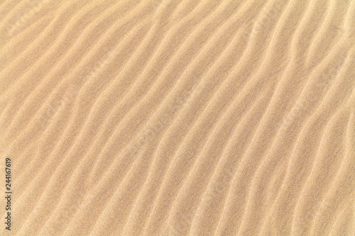 yellow beautiful sand background with sand waves curves in dunas