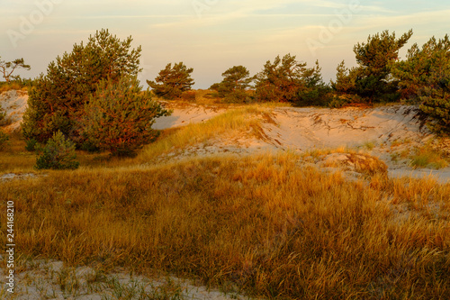 Sonnenaufgang am Darßer Ort an der Ostsee in der Kernzone des Nationalpark Vorpommersche Boddenlandschaft am Darßer Weststrand, Mecklenburg Vorpommern, Deutschland photo