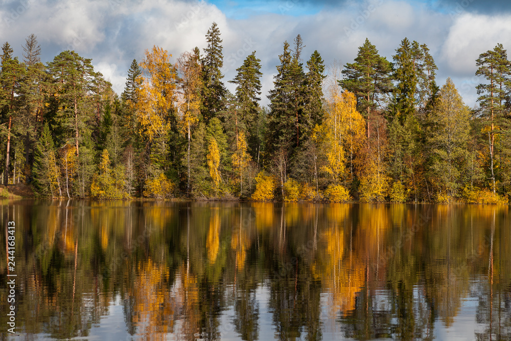 Fototapeta premium Jesienne liście kolorowe z odbiciem jeziora.