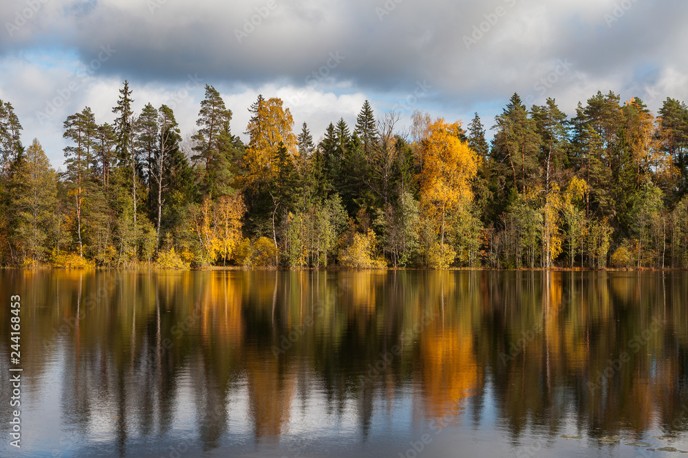 Autumn colorful foliage with lake reflection.