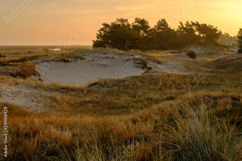 Sonnenaufgang am Darßer Ort an der Ostsee in der Kernzone des Nationalpark Vorpommersche Boddenlandschaft am Darßer Weststrand, Mecklenburg Vorpommern, Deutschland