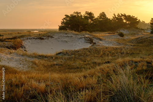 Sonnenaufgang am Dar  er Ort an der Ostsee in der Kernzone des Nationalpark Vorpommersche Boddenlandschaft am Dar  er Weststrand  Mecklenburg Vorpommern  Deutschland