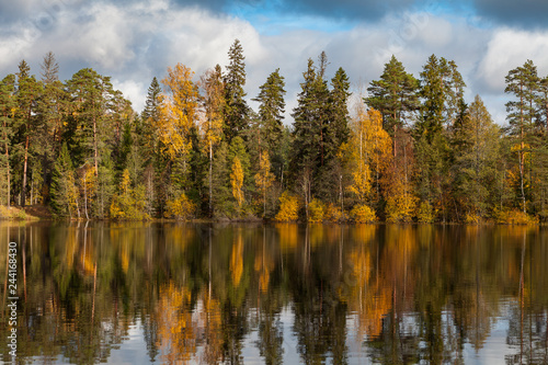 Autumn colorful foliage with lake reflection.