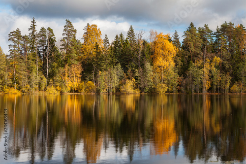 Autumn colorful foliage with lake reflection.