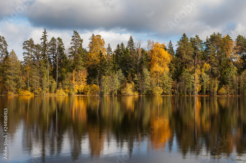 Autumn colorful foliage with lake reflection. © yegorov_nick