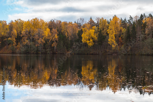 Autumn colorful foliage with lake reflection.