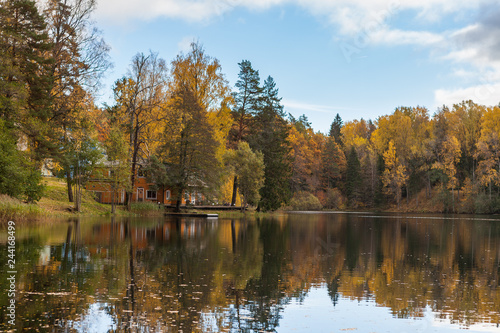 Autumn colorful foliage with lake reflection.