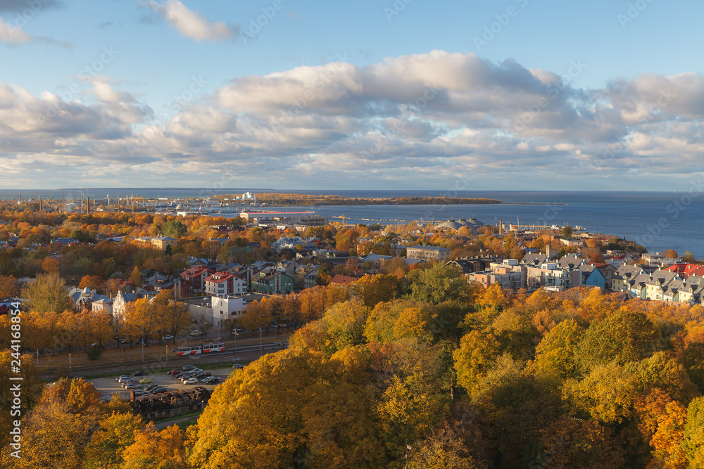 Aerial view of the old city center of Tallinn; Estonia with wooden and stone buildings. Autumn golden season.